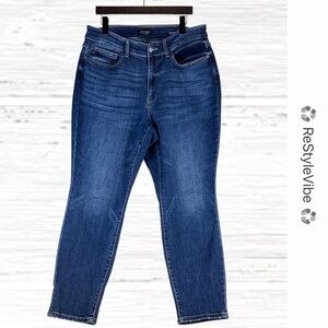 JUDY BLUE Women’s Size 16W Denim Jeans Boyfriend For Style High Rise Stretch